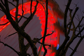 Fototapeta Londyńskie Oko nocą obraz