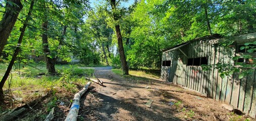 an abandoned house in the woods
