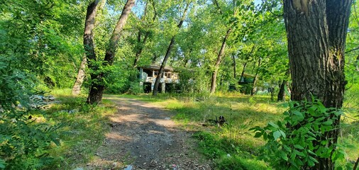 an abandoned house in the woods