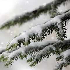 Fir tree with glittering snowflakes, bokeh, at Christmas time.