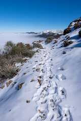 Senderos nevados en el parque natural del volcán Teide en la isla de Tenerife, Canarias