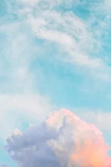 Foto op Plexiglas Lichtblauw Blauwe lucht met pluizige wolken. Prachtig uitzicht op de hemel hemel met witte veren wolken. Witte wolken zonsondergang in de lucht. Magische roze wolken zonsondergang in de lucht