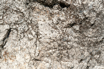 textures of stones, rocks, wood, and logs with various colors and shapes texture and volume ideal for backgrounds