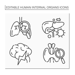 Human internal organs line icons set. Lungs and thyroid examination, brain, liver. Prevention of diseases. Health concept.Isolated vector illustration.Editable stroke