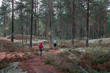 Two women hiking along footpath in the forest in Tiveden National Park in Sweden.
