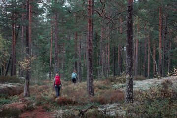 Two women hiking along footpath in the forest in Tiveden National Park in Sweden.