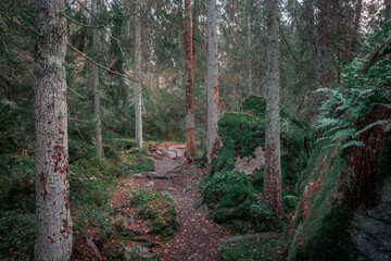 Hiking trail through the forest in Tiveden National Park in Sweden.