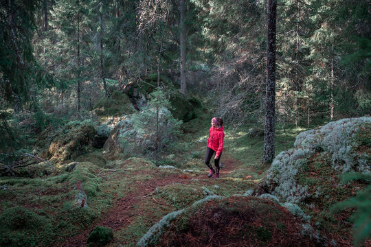 Woman hiking along footpath in the forest in Tiveden National Park in Sweden.