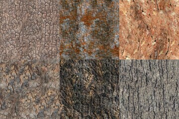 Pack of 6 High Quality Bark Seamless 4K Textures for editing, compositing, backdrops or material development. © Govinda