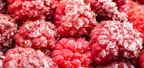 Frozen rose berries  closeup macro

