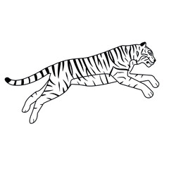 Fototapeta na wymiar Vector flat hand drawn outline jumping tiger isolated on white background