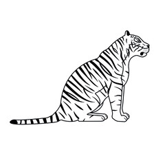 Vector flat sitting outline tiger isolated on white background