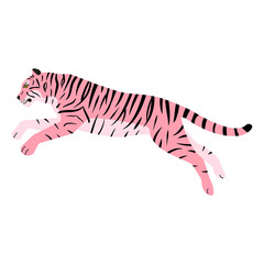 Fototapeta na wymiar Vector flat hand drawn jumping pink tiger isolated on white background