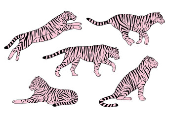 Vector set of hand drawn doodle sketch pink tigers isolated on white background
