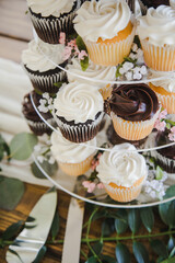 Closeup Detail of Fancy Vanilla and Chocolate Wedding Cupcakes from Above with Small White and Pink Flowers