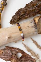 Jewelry on tree bark. Gemstones jewelry bracelet from jasper with bark and wood on white background.