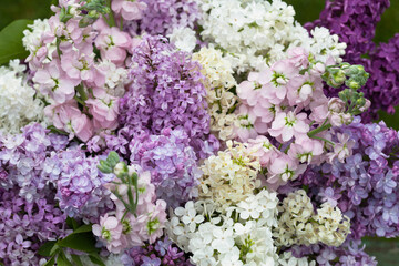 Bouquet of spring flowers of lilac and gillyflower, postcard, floral background, closeup, selective focus.