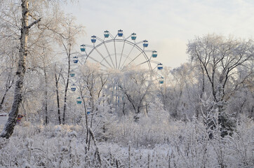 Winter siberian park