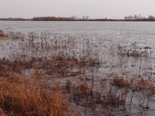 Autumn banks on the Irtysh river in Omsk region, Russia