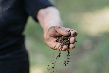 Focus of soil in female hands on a blurred background