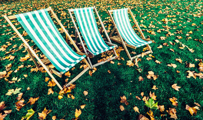 Deck chairs on the grass with autumn foliage in a park