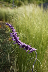 아름다운 꽃들이 아름답게 피었습니다.