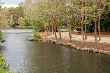 Scenic view of the Swan Lake Iris Gardens park in Sumter, South Carolina