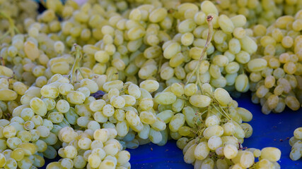 Kalamata Greece Market