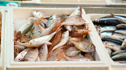 Kalamata Greece Market