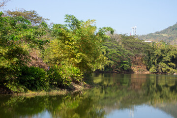 Fototapeta na wymiar Landscape of green areas with lake in the morning. Horizontal photo.