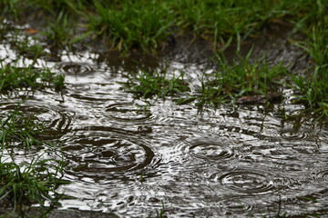 krople deszcze spadające na kałużę © Adrian