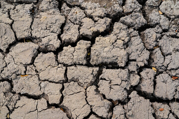 Dried and cracked soil. Climate change
