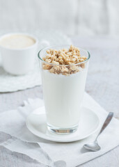 plain yogurt with granola muesli
