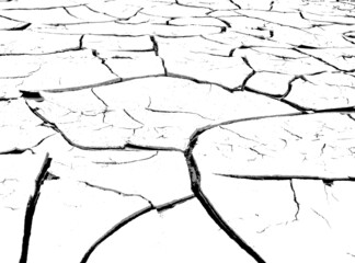 The texture of cracks. The structure of dry cracked soil. Black and white vector illustration.