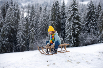 Kid boy enjoy a sleigh ride. Kid sledding in winter snow outdoor. Christmas family vacation. Child...