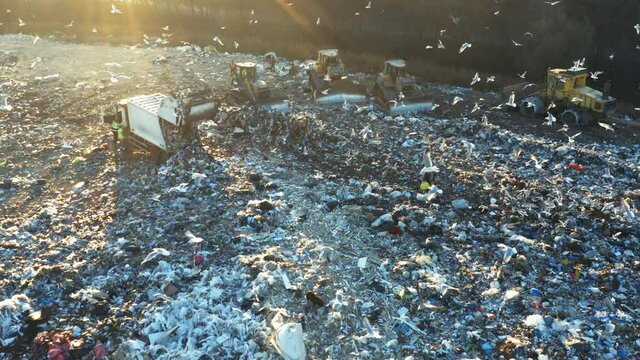 Aerial view of a city dump. A flock of birds is circling over the garbage dump. Garbage trucks unload garbage. Bulldozers crush rubbish and waste