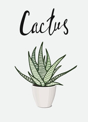 poster fresh green home decor art house plant cactus Haworthia in a pot with lettering