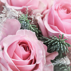 Pink roses with fir branches. Macro flowers background for holiday brand design