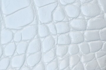 Close-up of white crocodile skin texture, beautiful abstract pattern.