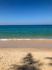 Fototapeta na wymiar beach, palm trees and Andaman sea in Thailand on Phuket island
