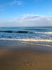 beach, palm trees and Andaman sea in Thailand on Phuket island