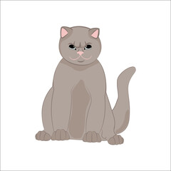 Cat flat design illustration. Funny cartoon cat