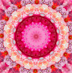 Beautiful circular floral pattern. Kaleidoscope