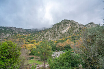 Termessos is one of the best preserved of the ancient cities of Turkey, was founded by the Solims, and concealed by pine forests and with a peaceful and untouched appearance