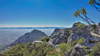 At the top of Cape Town's Table Mountain, green fynbos grows among huge gray spotted boulders. The city is visible below. In the distance, against the blue sky - a mountain range. South Africa