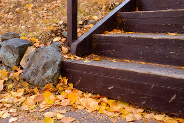 Part of a wooden brown staircase. The foot of the steps. Autumn yellow birch leaves. No people