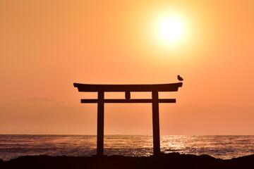 早朝の海とカモメが留まっている鳥居 02
