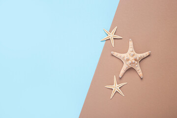 Starfishes on a brown-blue background. Top view, flat lay.
