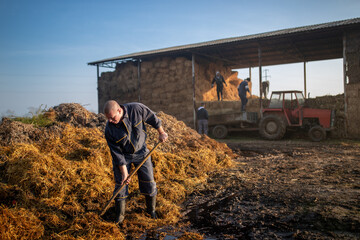 Young farm worker working with manure pile.