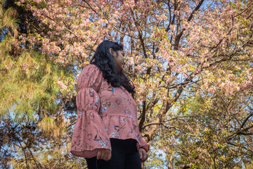 young girl watching cherry blossom flowers at afternoon from low angles